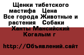 Щенки тибетского мастифа › Цена ­ 80 - Все города Животные и растения » Собаки   . Ханты-Мансийский,Когалым г.